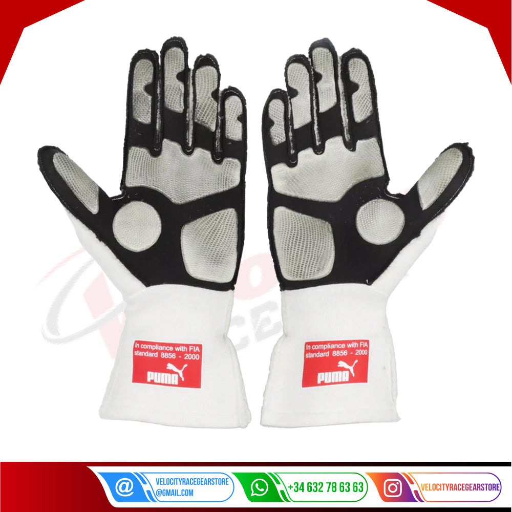 2010 Fernando Alonso F1 Race Gloves - Japanese GP - Velocity Racegear-2010 Fernando Alonso F1 Race Gloves - Japanese GP - Velocity Racegear-F1 Gloves